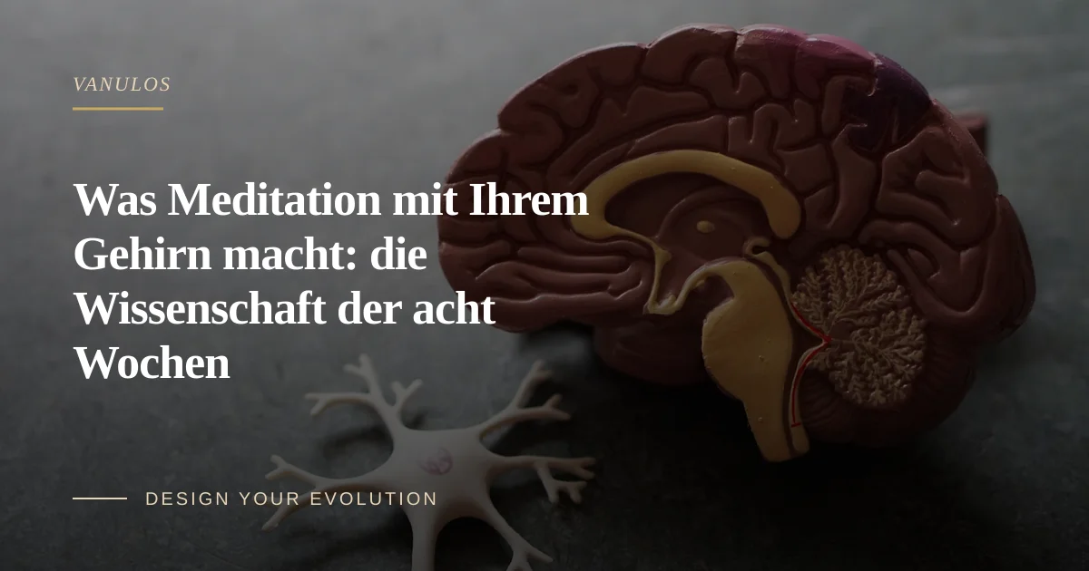 Was Meditation mit Ihrem Gehirn macht: die Wissenschaft der acht Wochen