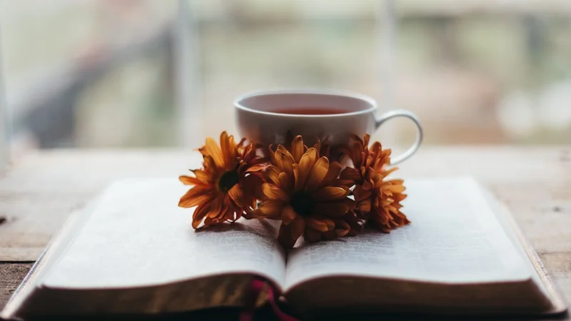 a person sitting by a sunlit window writing in a notebook with a steaming cup of tea beside them