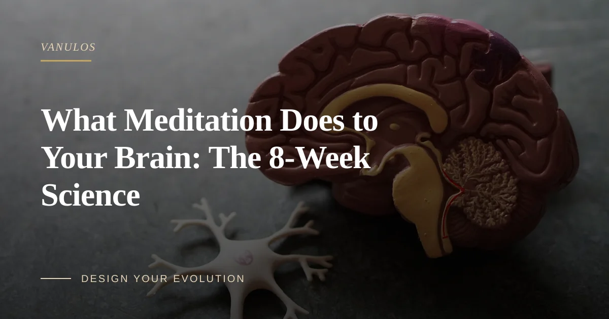 What Meditation Does to Your Brain: The 8-Week Science