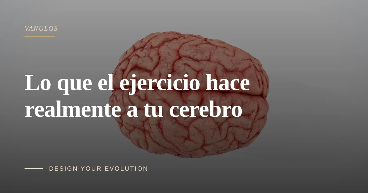 Lo que el ejercicio hace realmente a tu cerebro