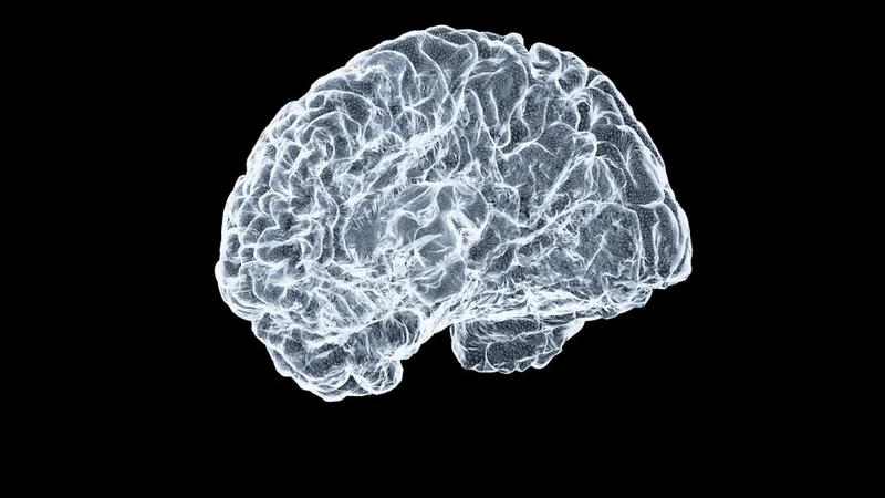 un cerebro con señales de recompensa ilustradas, contrastando patrones de recompensa predecibles frente a impredecibles