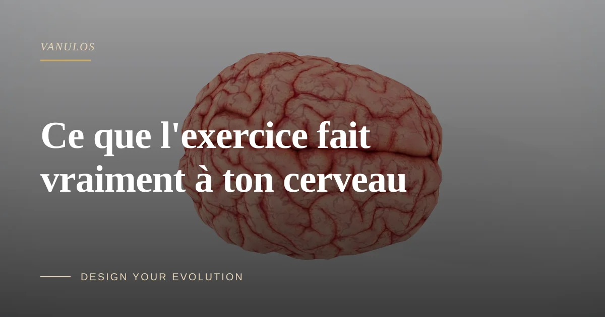 Ce que l'exercice fait vraiment à ton cerveau