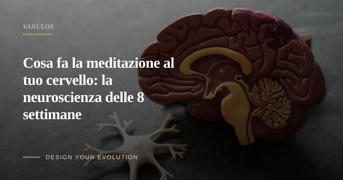 Cosa fa la meditazione al tuo cervello: la neuroscienza delle 8 settimane