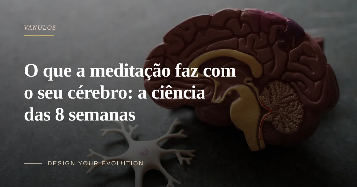 O que a meditação faz com o seu cérebro: a ciência das 8 semanas