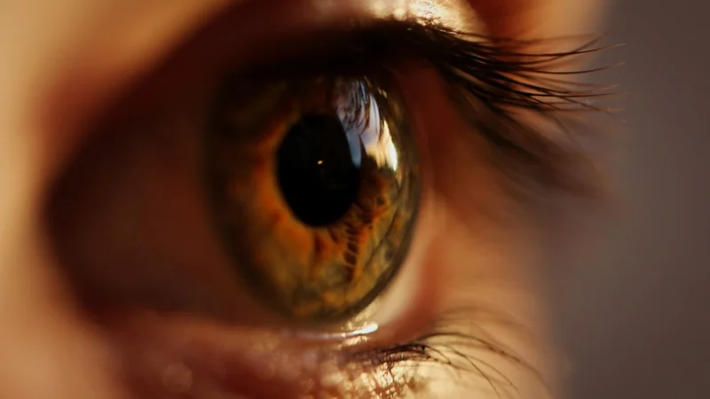 Close de uma mão escrevendo num diário à luz de uma luminária, caneta no meio de uma frase, uma xícara de café por perto — acompanhamento de progresso interno, diário das etapas de mudança, hábito de autorreflexão