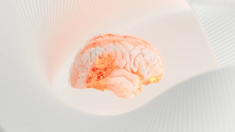 ilustração do hipocampo passando pacotes luminosos de memória ao neocórtex durante o sono profundo, com ondas de fusos do sono